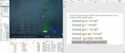 Linux | 15. File Permission Management: chown, chmod