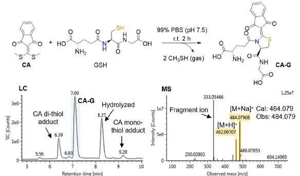 Site-Specific Chemoselective Cyclization and Fluorogenic Modification of Protein Cysteine Residues: From Side-Chain to Backbone