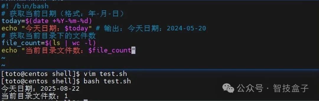 Unlocking Linux: Shell Programming Variables