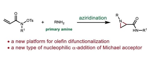 Efficient Synthesis of N-Alkyl or N-Aryl Nitrogen-Containing Propanes via α and β Nucleophilic Additions