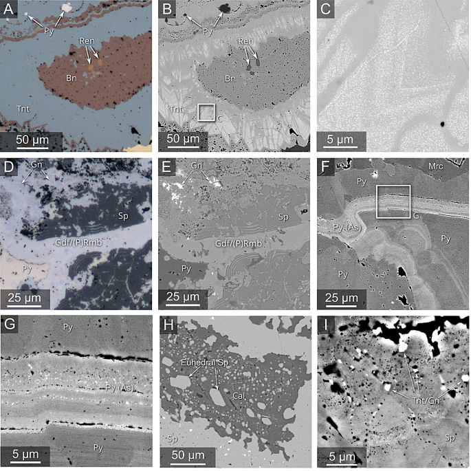 How Copper, Nickel, and Arsenic Co-occur with Zinc-Lead Ores in the Lisheen Deposit, Ireland: Breakthroughs in Isotope Tracing and Deep Exploration