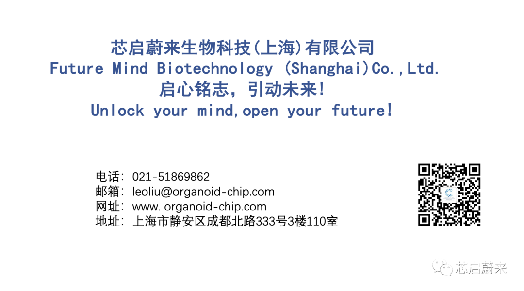 Development of Multi-lineage Organoids