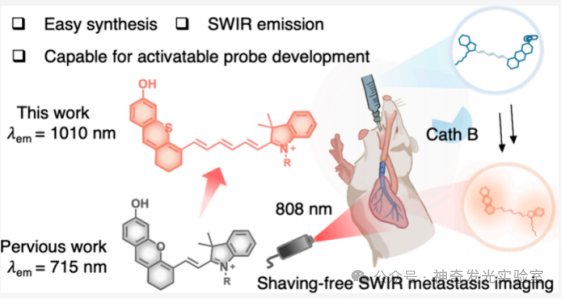 J. Am. Chem. Soc.: Shortwave Infrared Hemicyanine-6 for Cancer Activation and Shaving-Free Preclinical Imaging of Lung Metastasis