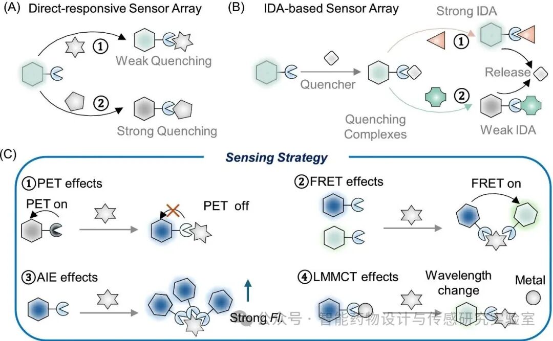 Cross-Responsive Fluorescence Sensor Arrays Combined with Machine Learning for Dietherapeutic Phytochemicals Recognition in Food-Medicine Homology Products
