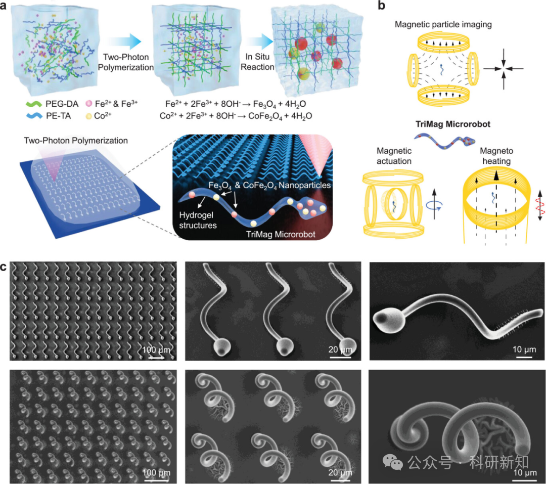 Research Update: 3D-Printed Hydrogel Microrobots with Integrated Magnetic Actuation, Magnetic Particle Imaging, and Magnetic Hyperthermia Functions