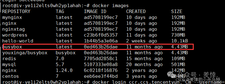 Mastering Docker End-to-End: Container Management, Nginx Homepage Customization, BusyBox Tool Practice, and Tencent Cloud Repository Deployment