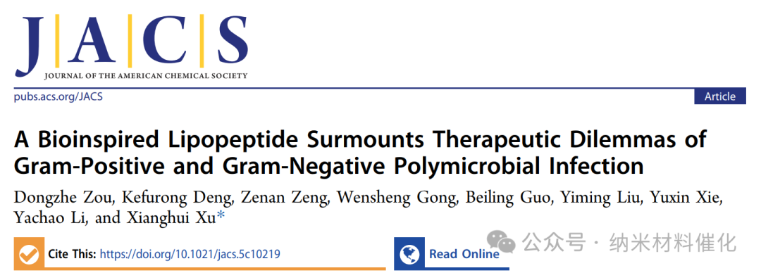 A Bioinspired Lipopeptide Surmounts Therapeutic Dilemmas of Gram-Positive and Gram-Negative Polymicrobial Infection