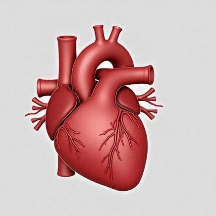 Review of Advances in the Application of Modern Imaging Techniques in the Full Process of Left Atrial Appendage Occlusion