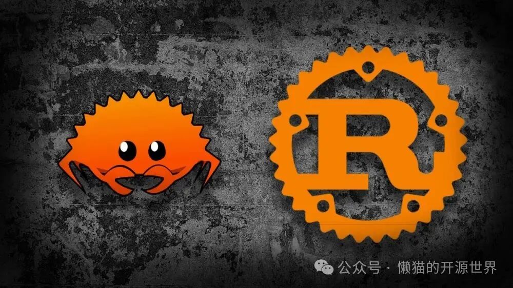 Is Rust Worth Investing in as a Skill Like Retirement Insurance?