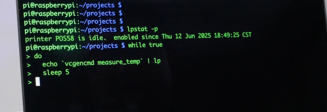 How to Implement Large Model Projects on Raspberry Pi 5 in 5 Steps!