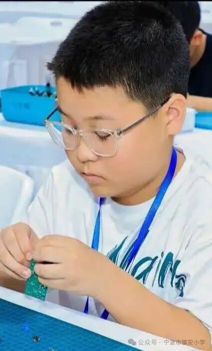 The Shining Stars on the Circuit Board