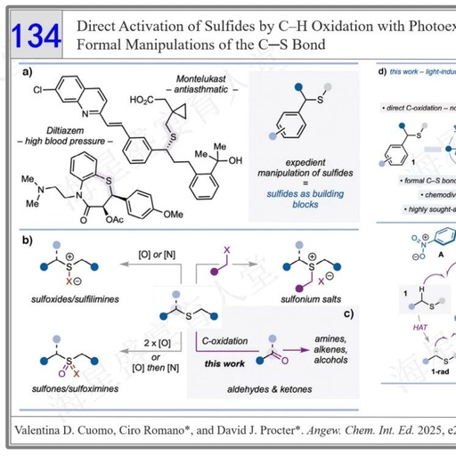 Direct Activation of Sulfides by C–H Oxidation with Photoexcited Nitroarenes: Formal Manipulations of the C─S Bond