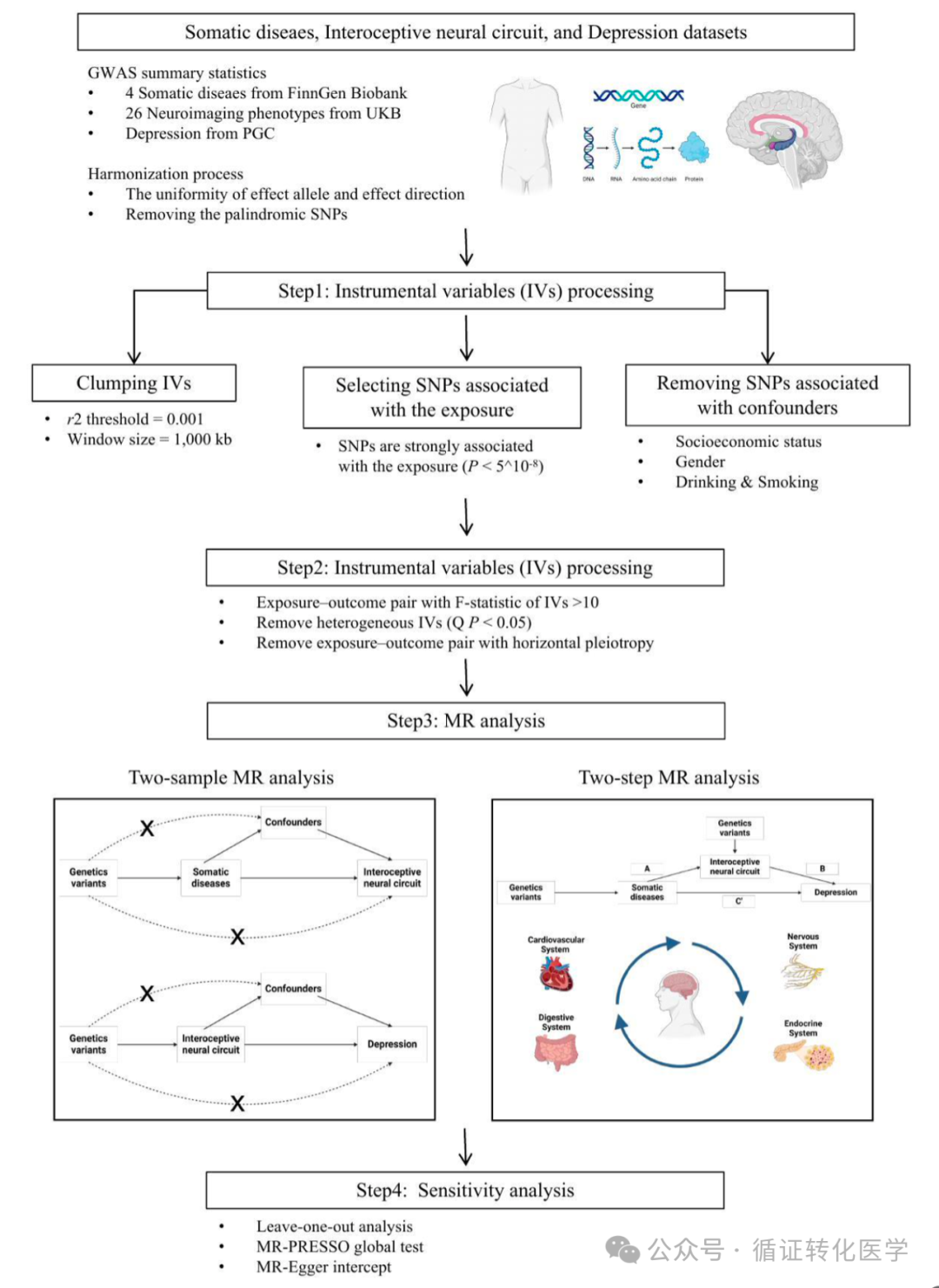 Southeast University and Jiangnan University Teams Discover Interoceptive Neural Circuits as Shared Pathways for Comorbid Depression in Various Somatic Diseases