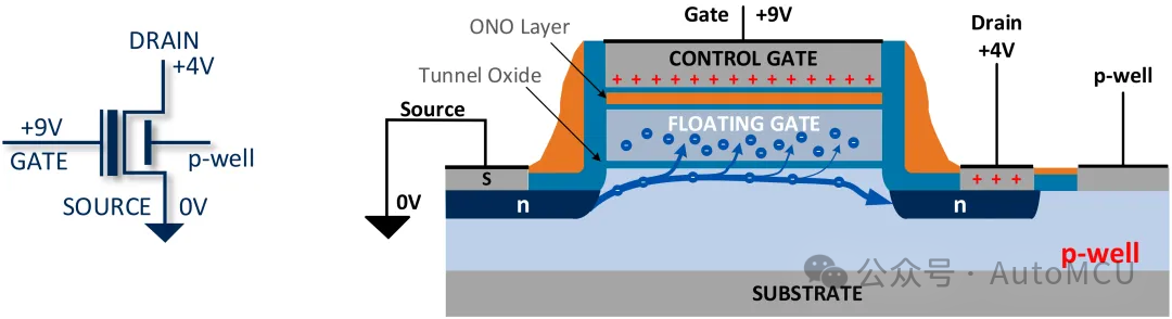 Core Mechanisms of NOR Flash: Detailed Explanation of Storage Units, Read/Write Principles, and Erasure Mechanisms (Part Two of the Series)