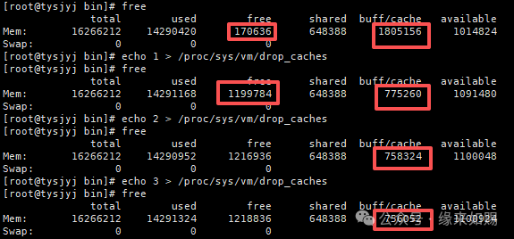 Resolving Excessive Buff/Cache Memory Usage in Linux
