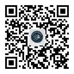 Medical Engineering Collaboration | Shenzhen University Training Camp Diary: C Language Challenge