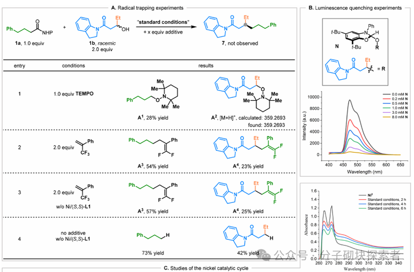 Synergistic Construction of Chiral Carbon Centers via Photocatalytic Nickel Catalysis