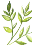 Essential Guide to Deploying Linux Firewall: From Basic Protection to Advanced Rules, Easy for Beginners