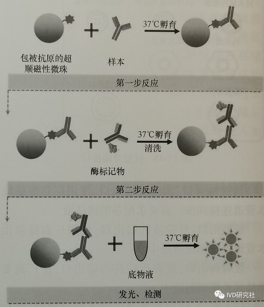 Overview of Chemiluminescent Immunoassay Analyzers