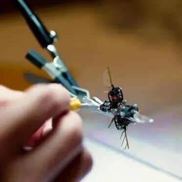 MIT Develops Bee-like Robot that Flaps Wings 400 Times Per Second, Potentially for Mars Pollination