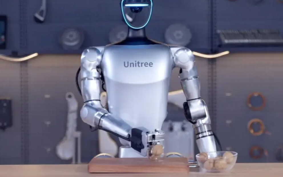 Working? Not a Chance! Robots: If Dogs Don't Work, I Will!