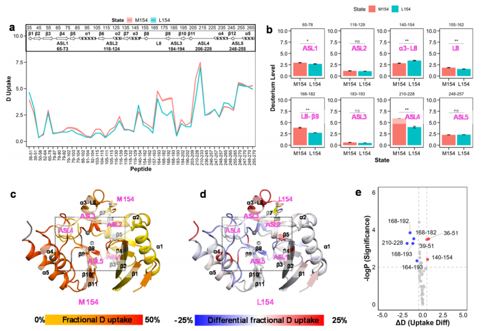 Inhibitor-Dependent Tolerance of New Delhi Metallo-β-Lactamase Driven by Single Mutation-Induced Conformational Changes