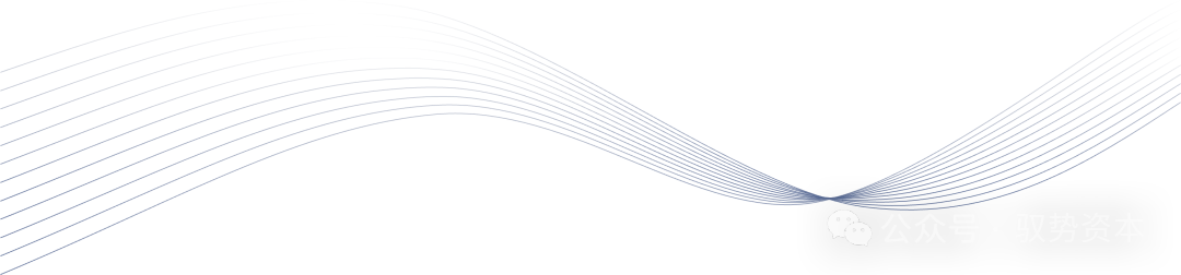 Photomasks: The Invisible Key to Chip Competition