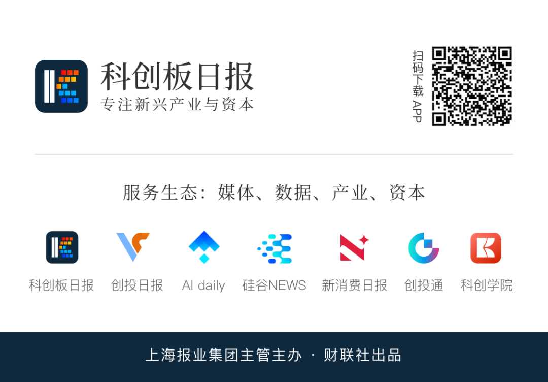 Power Struggle in Chip IPO: Founders Ousted!