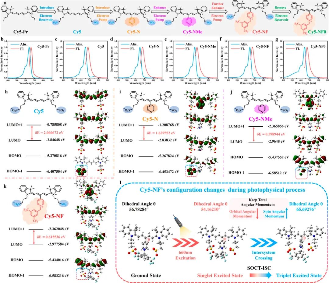 Controlled Electron Transfer: Development of Type I Photosensitizers through Energy Storage Pump Integration Strategy to Induce Long-term Tumor Immune Memory