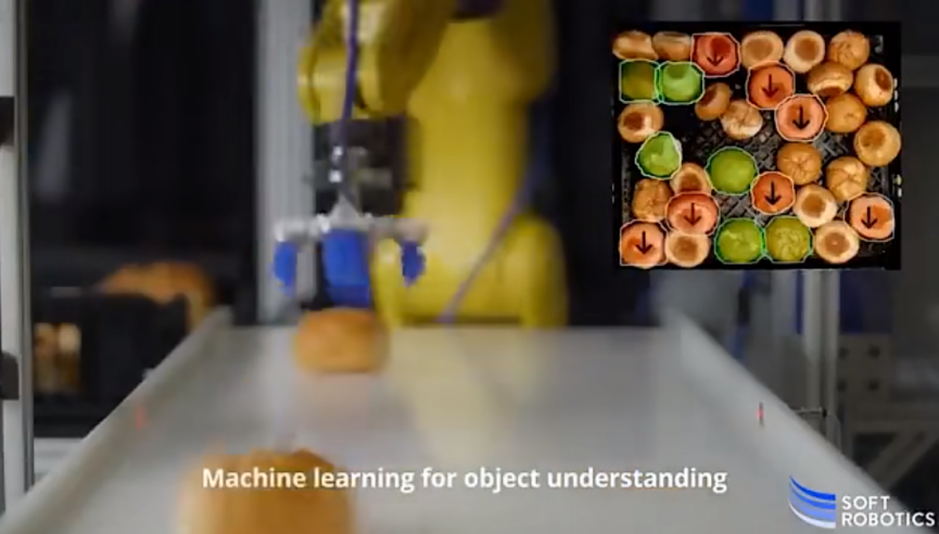 Seizing the Opportunity: Development of Robotic Gripper Technology and Manufacturer Overview