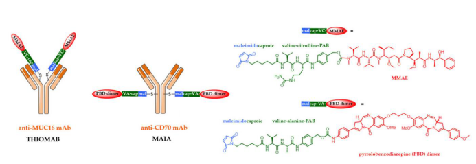 The Evolution of Antibody-Drug Conjugates (ADCs)
