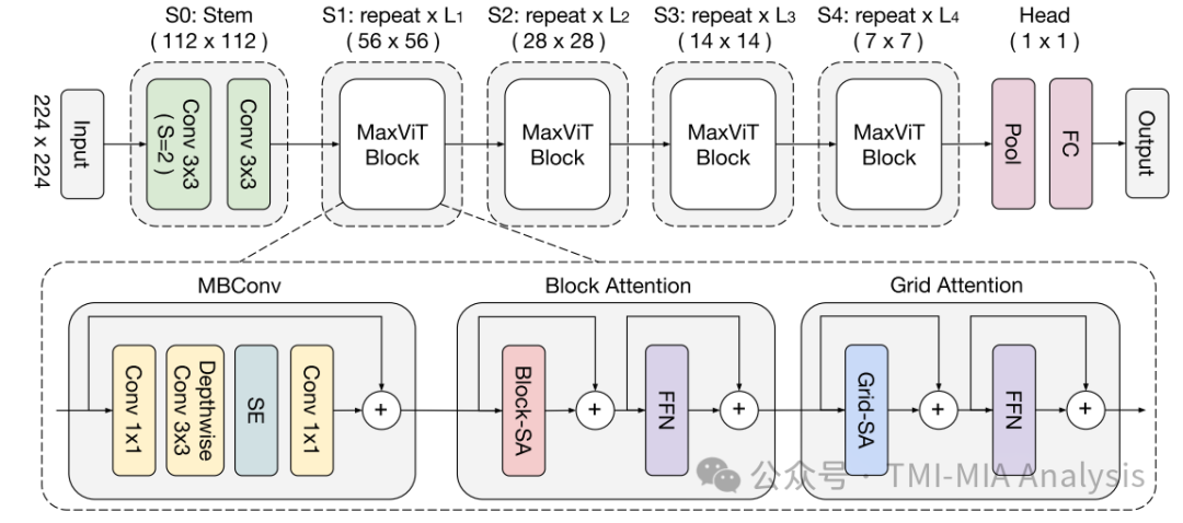 MaxViT: Multi-Axis Vision Transformer