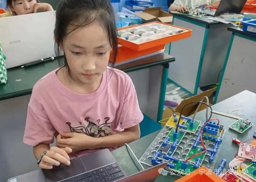 The Shining Stars on the Circuit Board