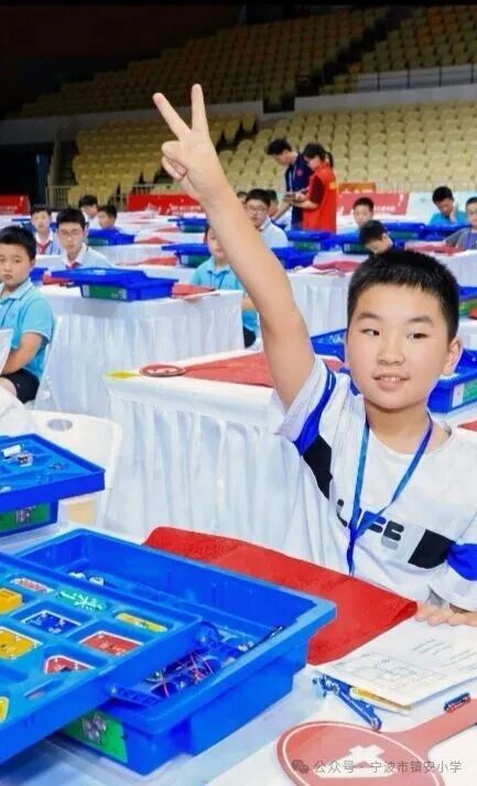 The Shining Stars on the Circuit Board