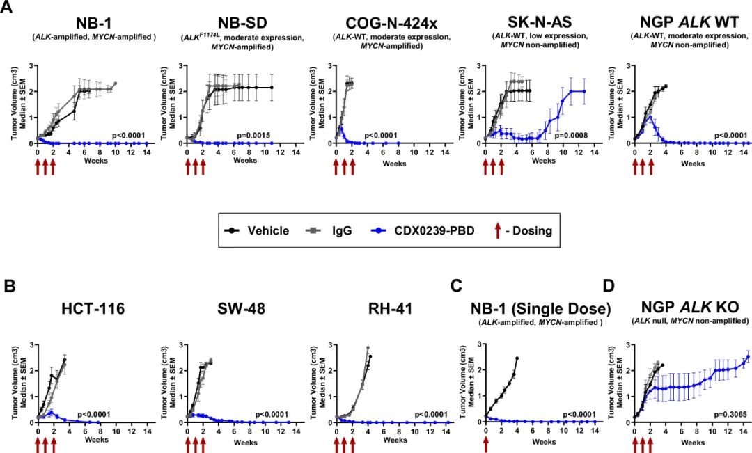ALK-ADC Drug: Validation of Efficacy of ALK-Targeted Humanized Antibody-Drug Conjugate with Pyrrolobenzodiazepine Payload in ALK-Expressing Cancers