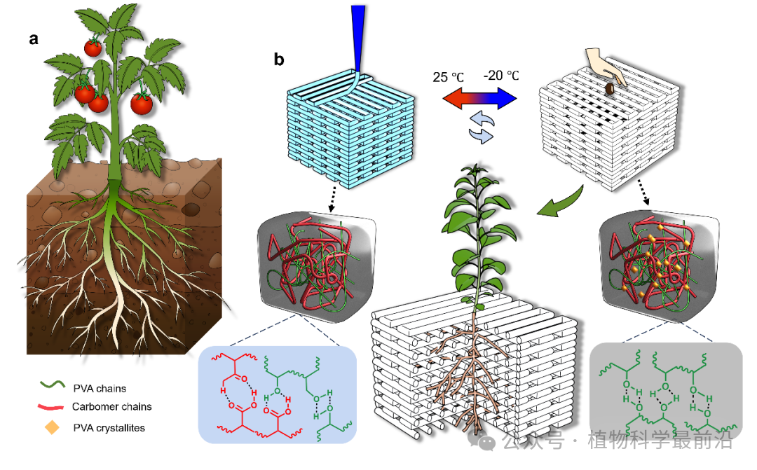 The First 3D Printed Plant Cultivation Medium