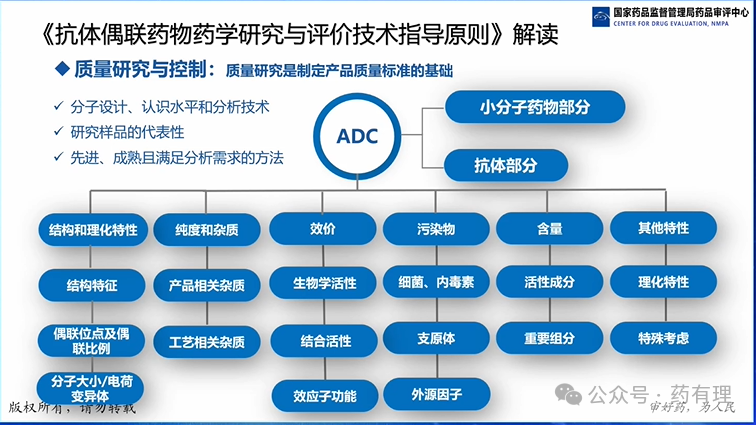 Review Considerations for Antibody-Drug Conjugates (ADC) Pharmaceutical Research