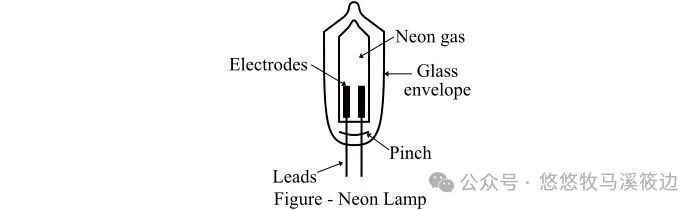A Brief History of Neon Lights for Kids