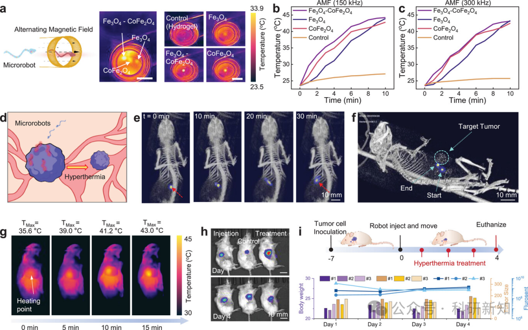 Research Update: 3D-Printed Hydrogel Microrobots with Integrated Magnetic Actuation, Magnetic Particle Imaging, and Magnetic Hyperthermia Functions