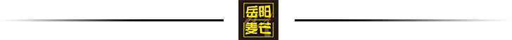 Yueyang Intelligent Manufacturing Heads to Germany! The Hardcore Operations Behind 27 Robots' Lightning Clearance