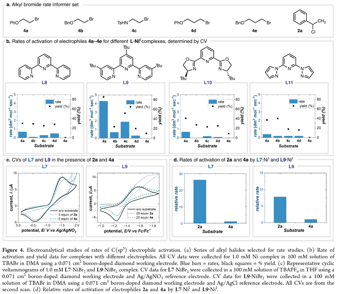 J. Am. Chem. Soc.: Nickel-Catalyzed Enantioselective Desymmetrization: Development of Divergent Acyl and Decarbonylative Cross-Coupling Reactions