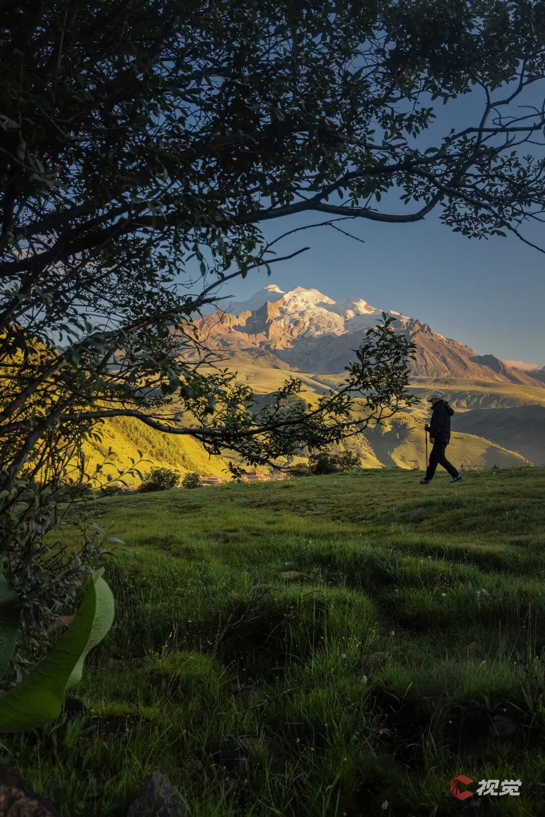 C Vision: A Glimpse of the Snow Mountain (50) | The Intertwining of Snow Mountain and Prairie Flower Sea - The Travel Guide to 'Little Switzerland' in Western Sichuan