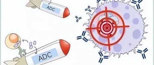 Global Analysis of ADC Drugs | HER2 Target