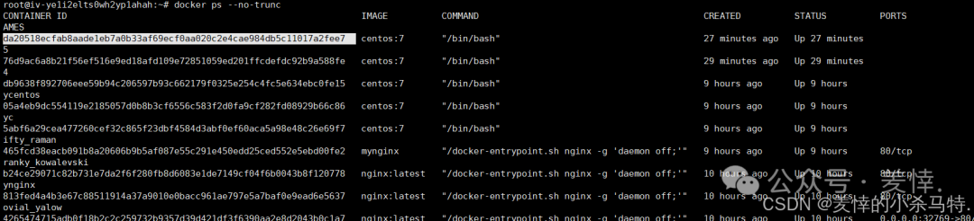 Mastering Docker End-to-End: Container Management, Nginx Homepage Customization, BusyBox Tool Practice, and Tencent Cloud Repository Deployment