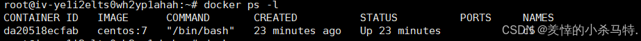 Mastering Docker End-to-End: Container Management, Nginx Homepage Customization, BusyBox Tool Practice, and Tencent Cloud Repository Deployment