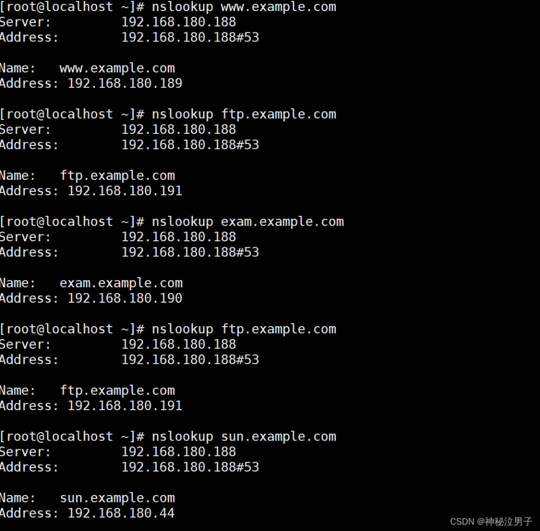 Setting Up a DNS Domain Name Resolution Server on Linux (Detailed Version)