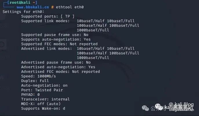 20 Common Network Commands in Kali Linux