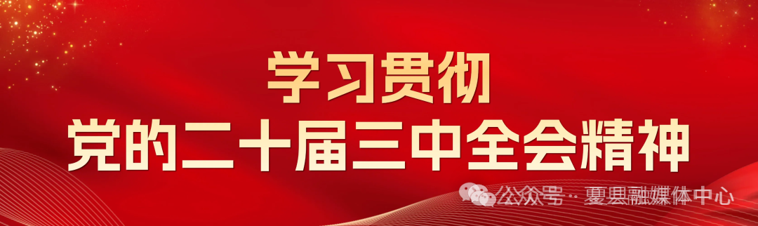 Xia County Aimi Optoelectronics: First Batch of 36,000 LCD Display Assemblies Exported Overseas