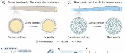 Fudan University Develops Co-Extrusion Technology to Overcome Stability Bottlenecks in Flexible Fiber Sensors
