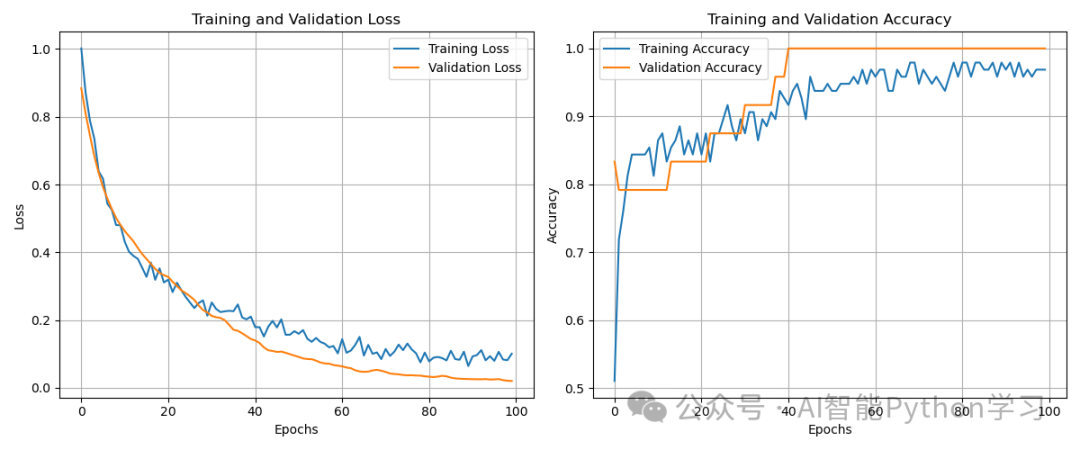 Multi-Layer Perceptron (MLP) Overview